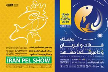 بازدید مدیرکل دامپزشکی لرستان از پروژه پرورش ماهی درقفس سد ایوشان